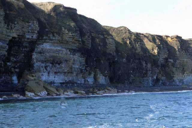 d day cliffs